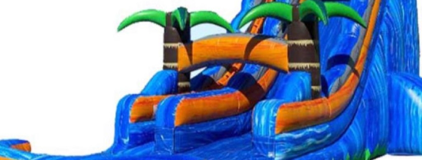 Tropical Palm Tree Inflatable Water Slide